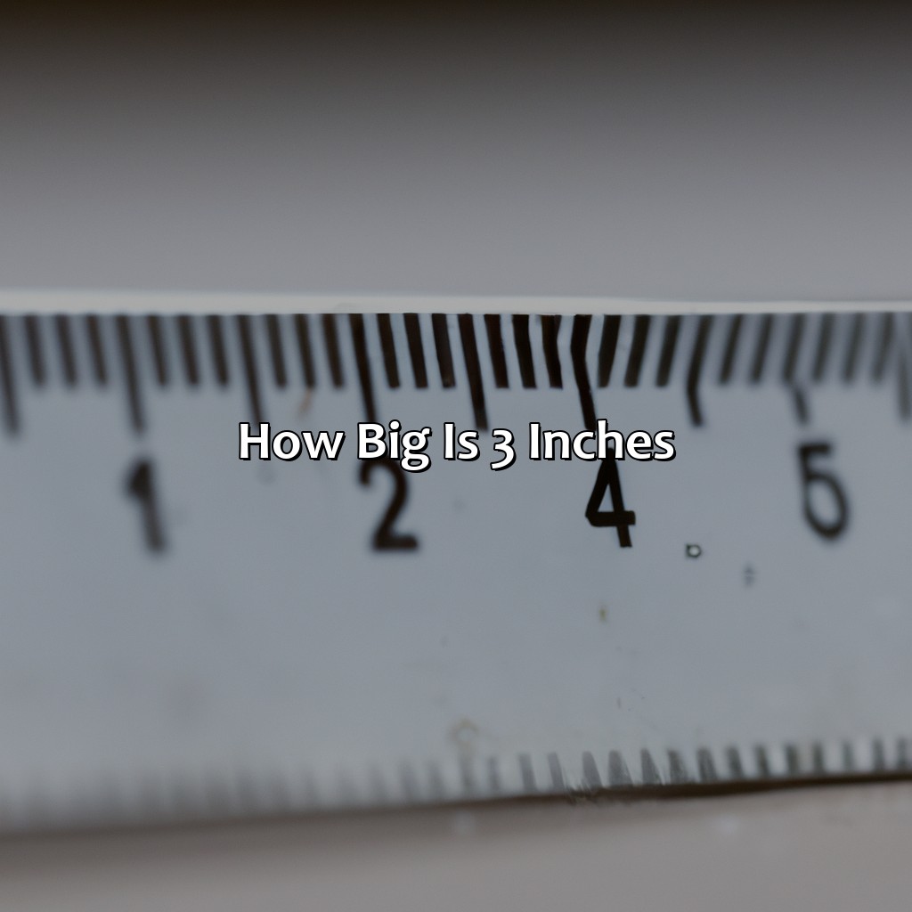 How Big is 3 Inches?,