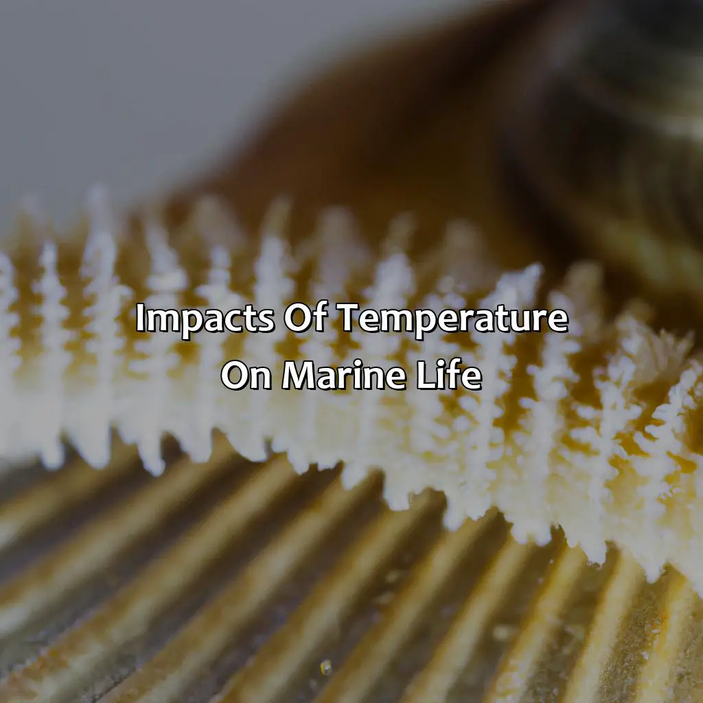 Impacts Of Temperature On Marine Life - How Cold Is The Pacific Ocean?, 