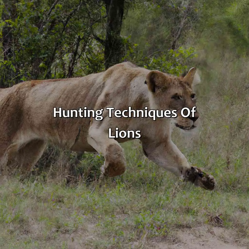 Hunting Techniques Of Lions - How Fast Can A Lion Run?, 