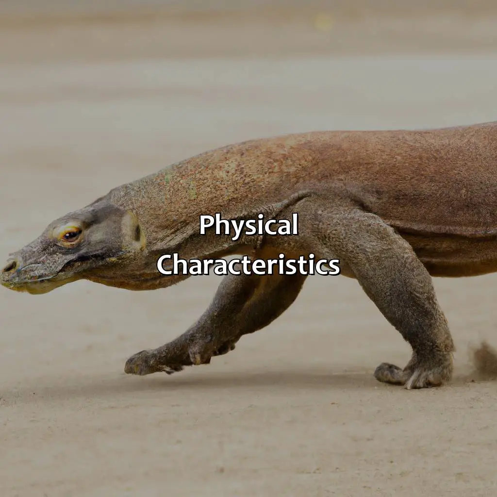 Physical Characteristics - How Fast Is A Komodo Dragon?, 