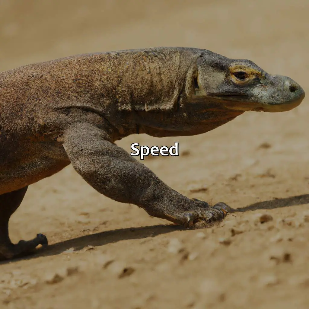 Speed - How Fast Is A Komodo Dragon?, 