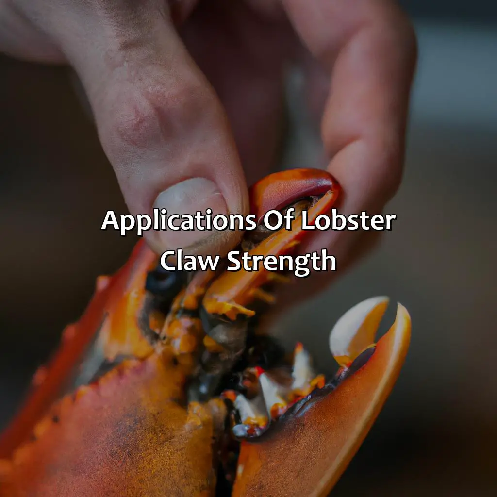 Applications Of Lobster Claw Strength - How Strong Are Lobster Claws?, 